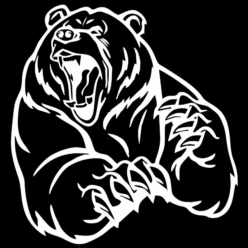 Car stickers from the manufacturer. automotive products for exterior decoration &quotbear&quot | Автомобили и мотоциклы