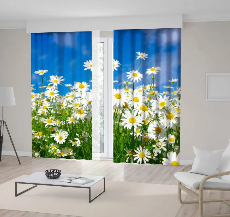 

Curtain Daisies Wildflower Field Meadow Sunny Summer Day Sky Nature Scenery Blue White Yellow Green
