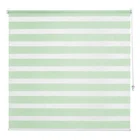 Штора рулонная день-ночь Inspire, 60х160 см, цвет зелёный