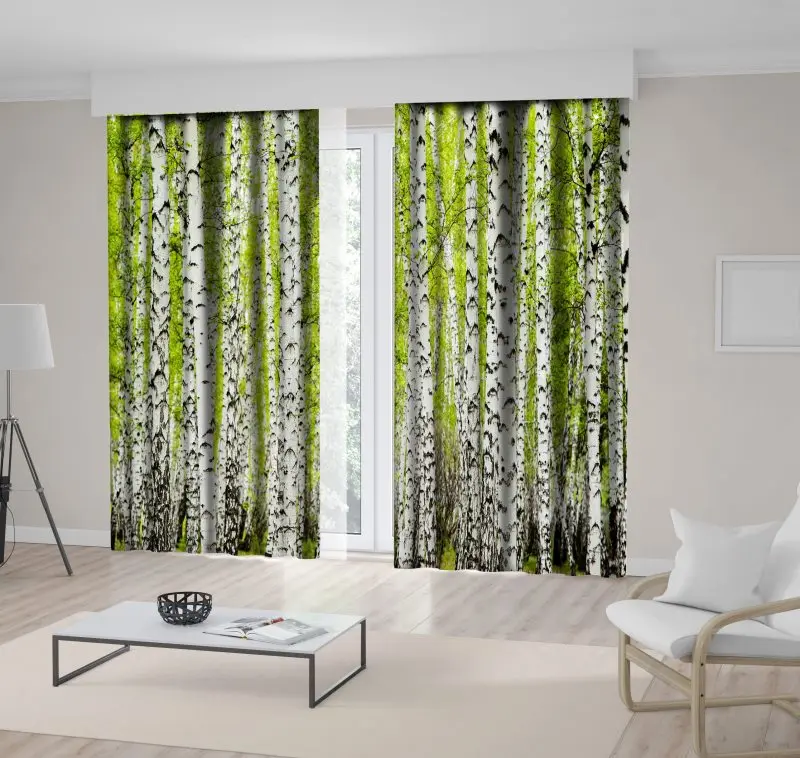 Curtain Birch Trees Forest Springtime Freshness Nature Landscape Seasonal Scenery Green Gray