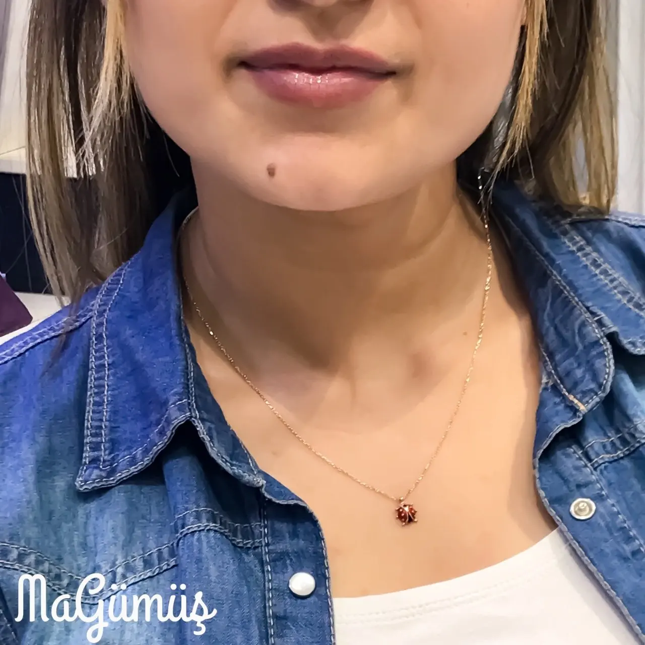

Ladybug Gold Model Silver Necklace