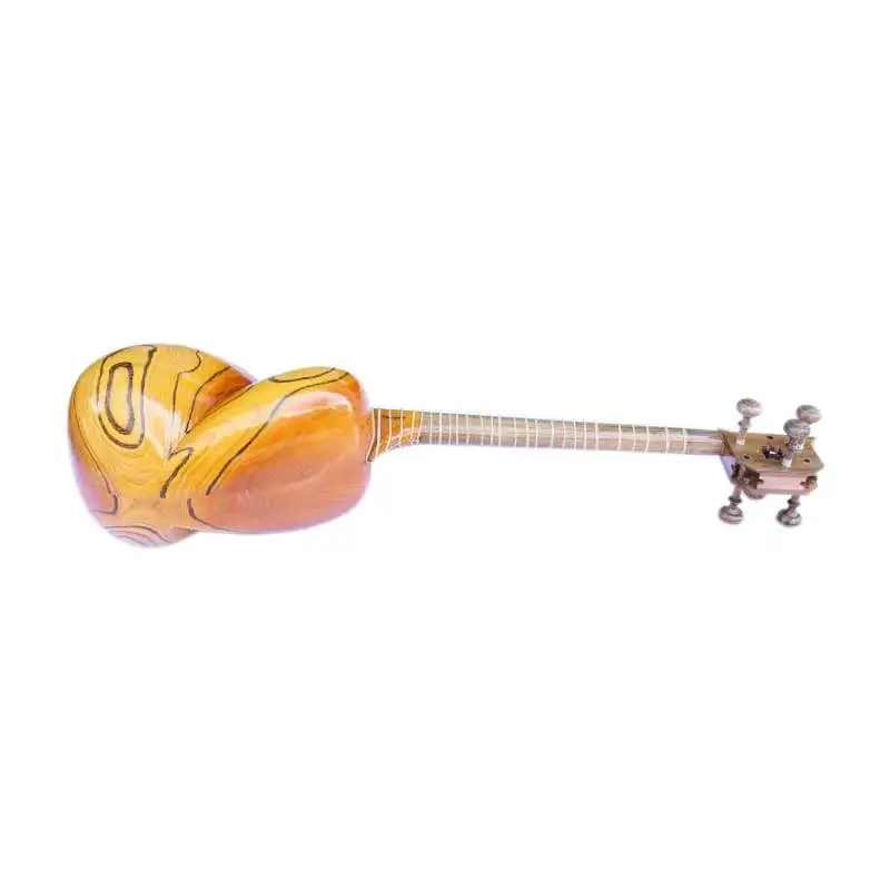Goede Professionele Perzische Teer String Muziekinstrument KMT-304