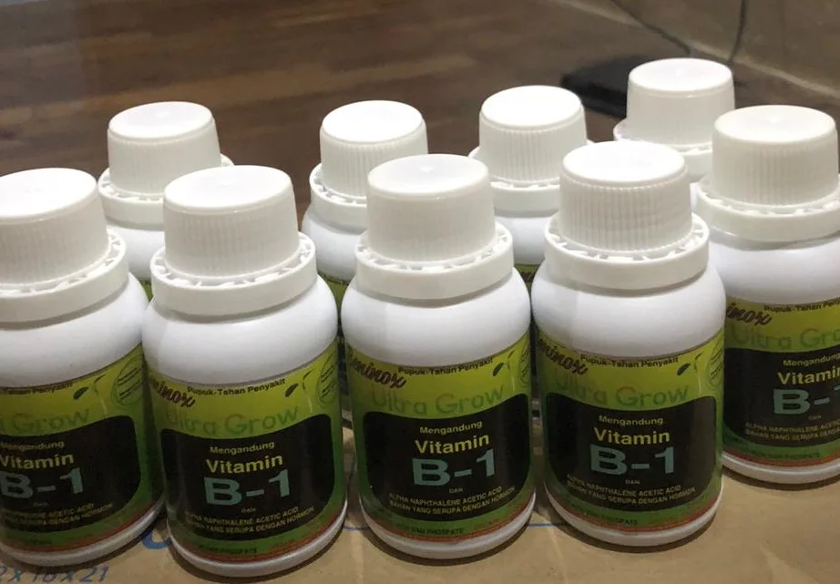 

FERTILIZER Vitamin B1 for All Plants Beninox 100 ml