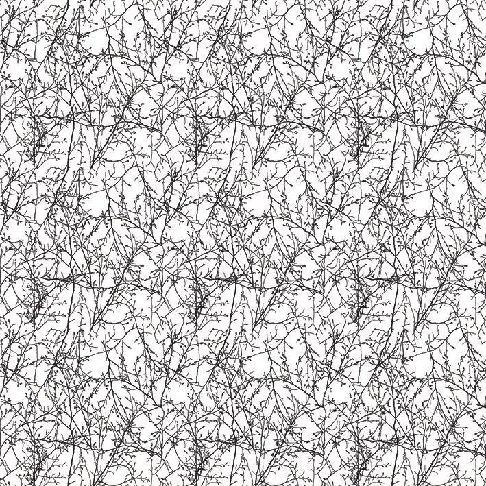 

Curtain Spring Tree Branches Silhouette Forest Rural Nature Minimalist Style Home Decoration Black and White Art