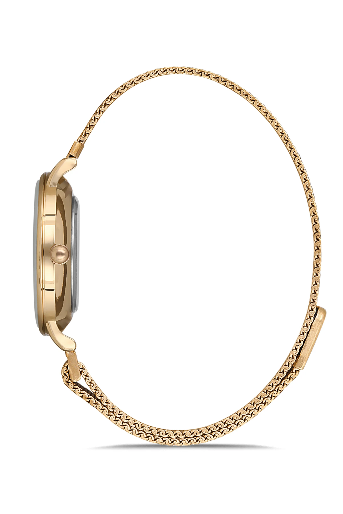 

Aqua Di Polo APWA037502 Steel Women Wrist watch