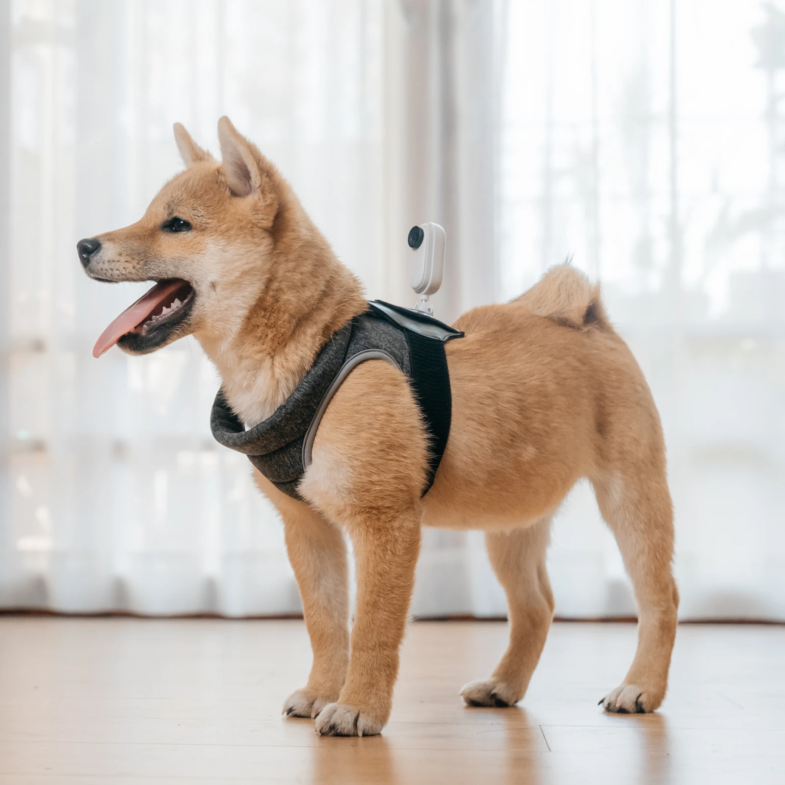 

Insta360 GO 2 Pet Strap Mount