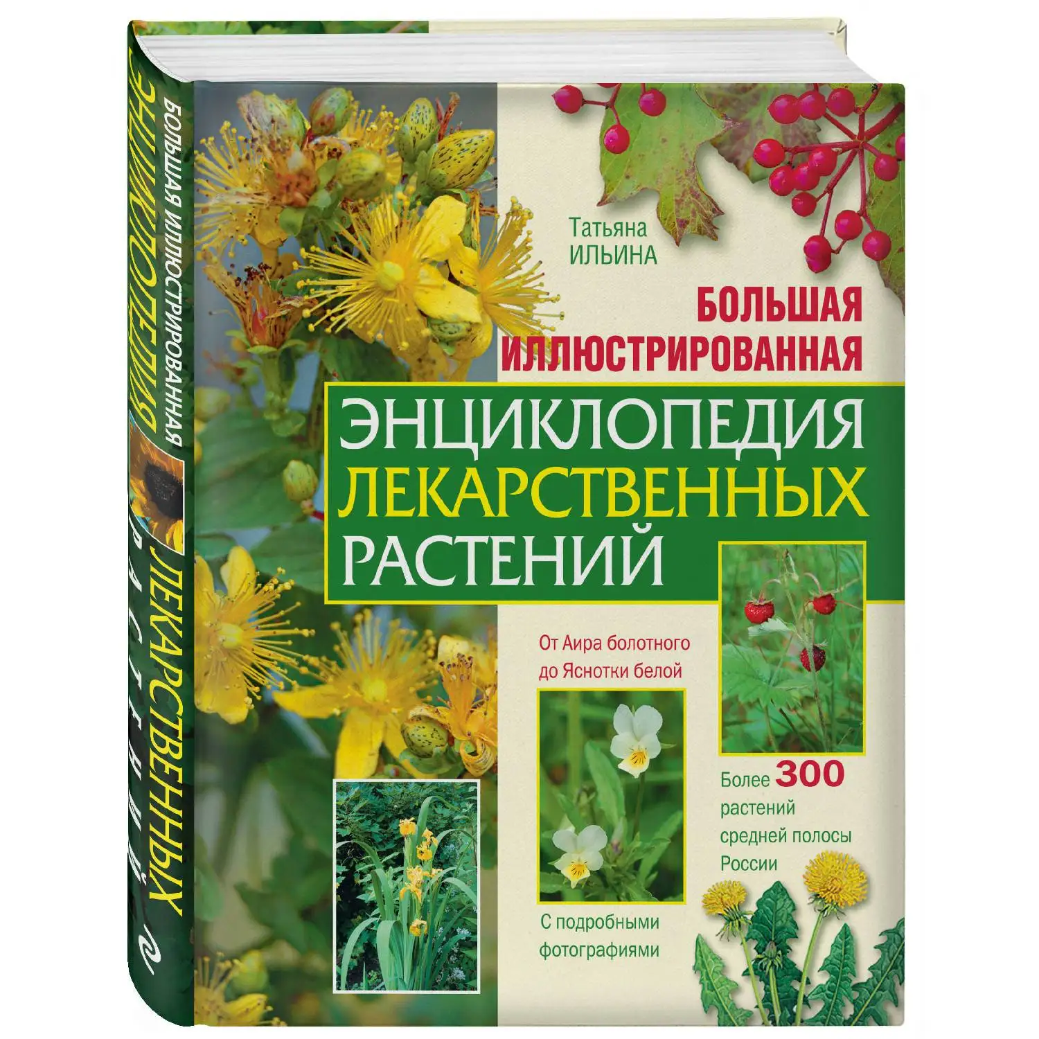 Большая иллюстрированная энциклопедия лекарственных растений. Ильина Т.А.