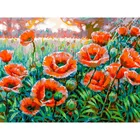 Нежное дыхание полудня  Живопись по номерам на холсте 30 *40. Белоснежка. 456-AS