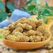 dried mulberry 5000 g