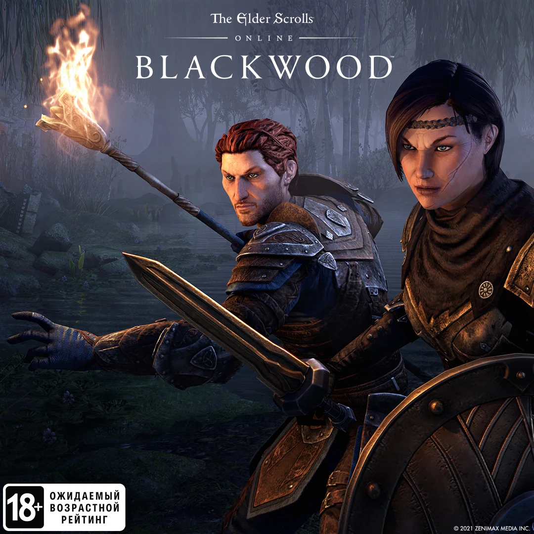 The Elder Scrolls Online: Blackwood (Steam) (PC) [цифровая версия] | Цифровые товары