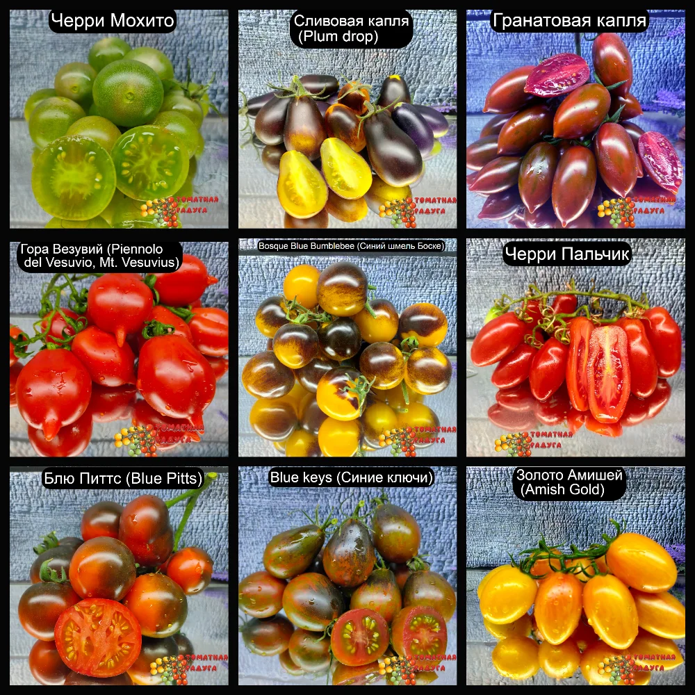 12 сортов! Набор №1: Органические семена томатов ЧЕРРИ 12 упаковок /по 10семян, семена помидор