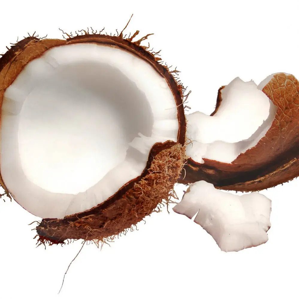 

Coconut Grain CuminPowder facial aesthetic sale health healthy beauty woman bodycare herbalcare organic natural