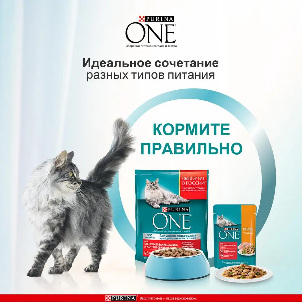 Сухой корм Purina ONE для стерилизованных кошек и кастрированных котов с высоким