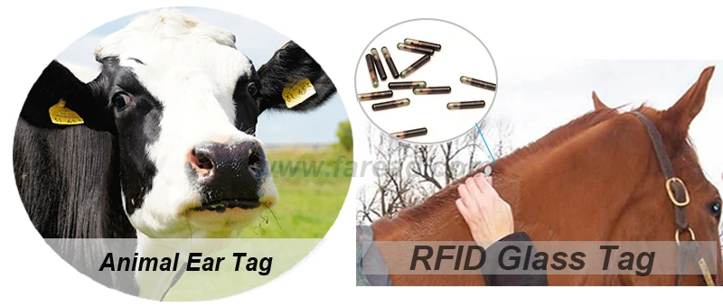 125 кГц 134,2 кГц USB Bluetooth RFID водонепроницаемый микрочип стеклянный чип приемоответчика ручной считыватель для рыбы, арованы, собаки, питомца
