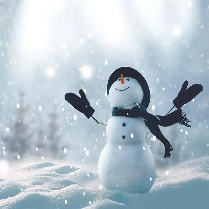 

Curtain Merry Christmas and Happy New Year Theme Snowing Winter Landscape White Dark Blue Artwork