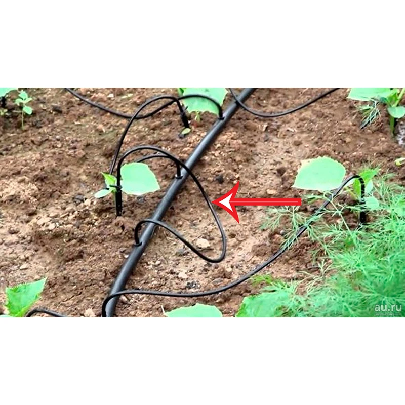 Капельный полив green helper. Капельный полив от емкости "жук" 60 растений (тепличный). Система капельного полива жук. Комплект капельного полива "урожайная грядка". Капельный полив волгоград.
