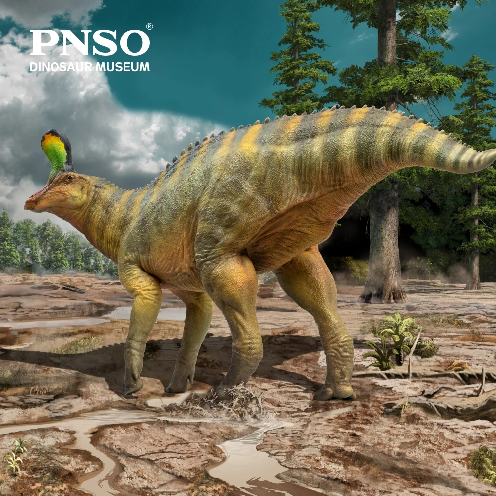 PNSO Dinosaur Museums Series:XiaoQin el modelo de arte científico tsingaurus 1:35