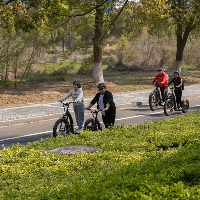 26-дюймовый электрический скутер с большими колесами более мощный 750 Вт велосипед