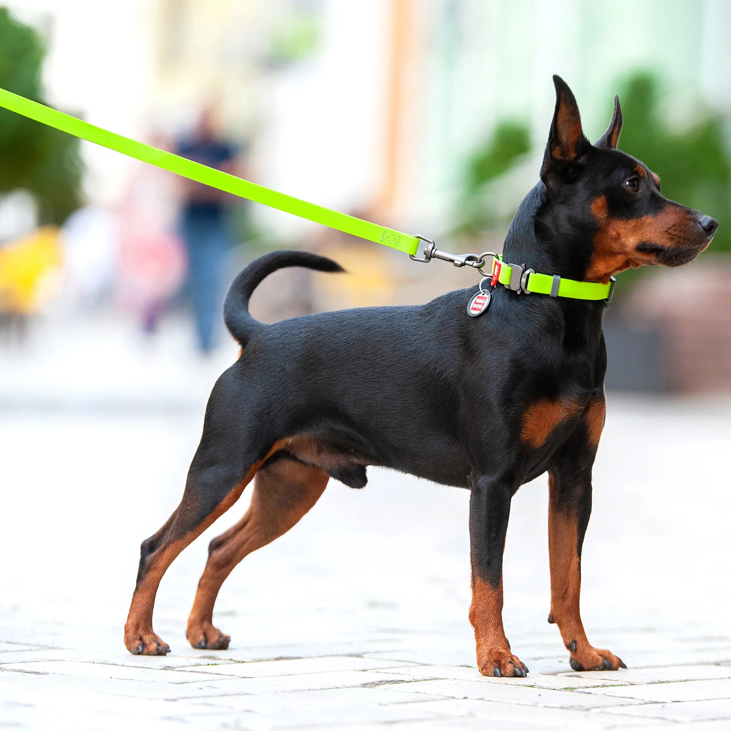 Поводок для собак WAUDOG WATERPROOF водостойкий | Дом и сад