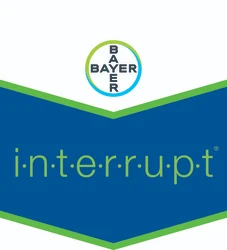 

Interrupt SC 240 350 cc