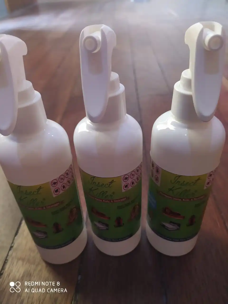 

Insect Killer Bed bug and sofa flea killer | lice repellent | Bug Repellent