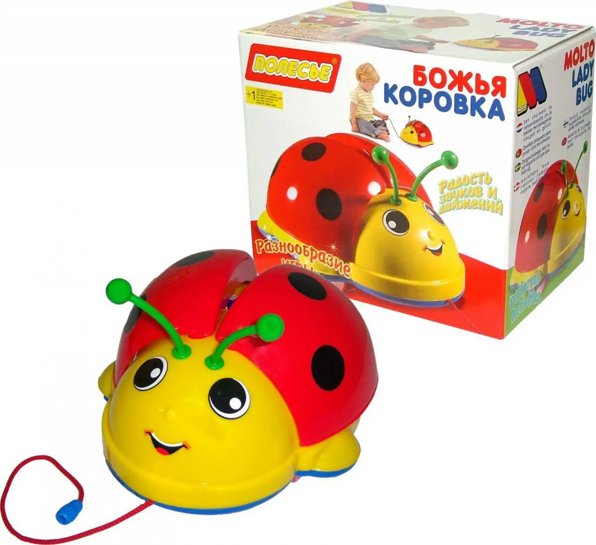 Божья коровка (в коробке) | Игрушки и хобби