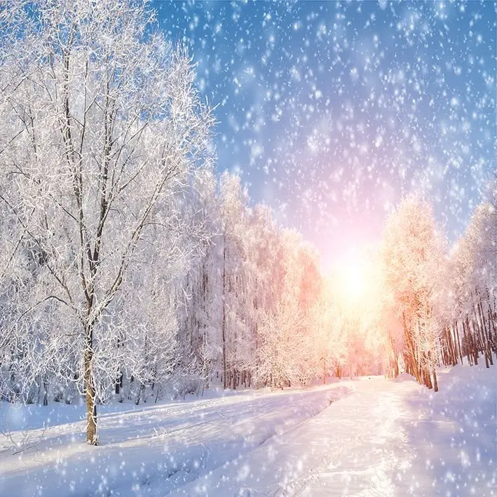 

Curtain Winter Park in Snow Sunny Day Trees Forest Countryside Scenery Seasonal Nature Picture