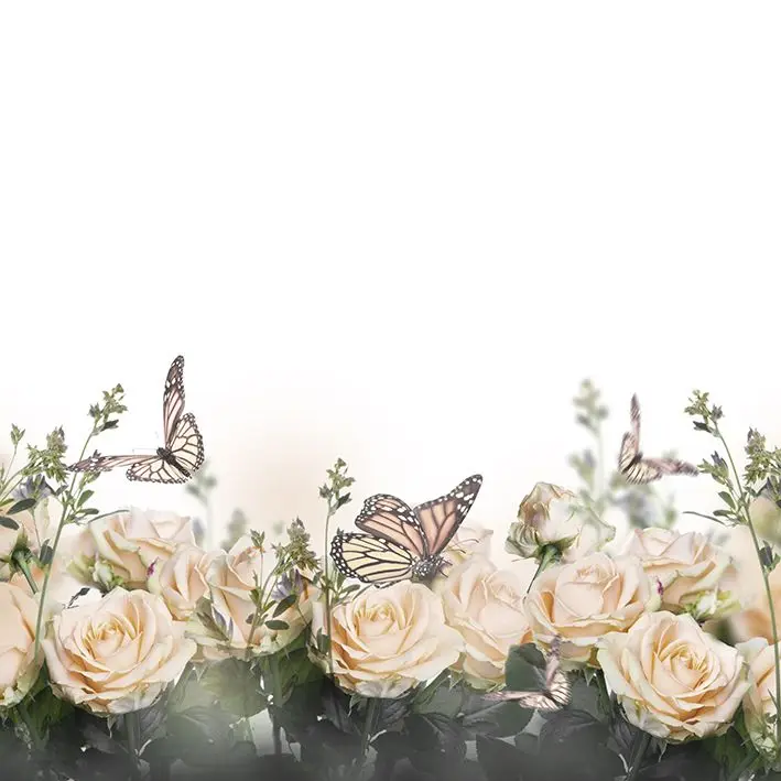 

Curtain Roses and Butterflies Flowers Summer Blooms Garden Nature Retro Style Photo Beige Green