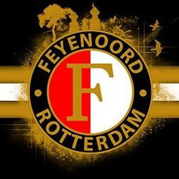 9 Полная квадратная дрель 5D DIY Алмазная вышивка feyenoord логотип 5d алмазная картина вышивка крестиком Мозаика из страз подарок - Цвет: 9