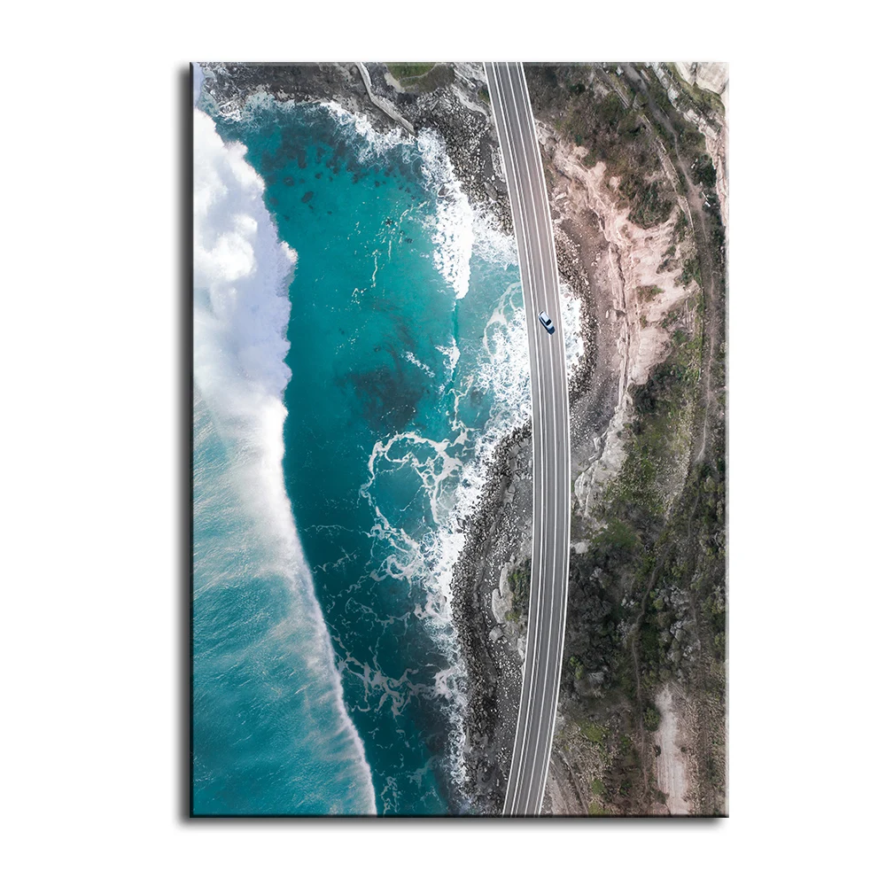 Большой размер картина маслом настенная живопись Австралия птица домашнее