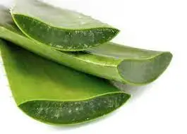 

aloevera gel firming herbal cosmetic aesthetic sale health healthy beauty woman oil bodycare herbalcare organic natural