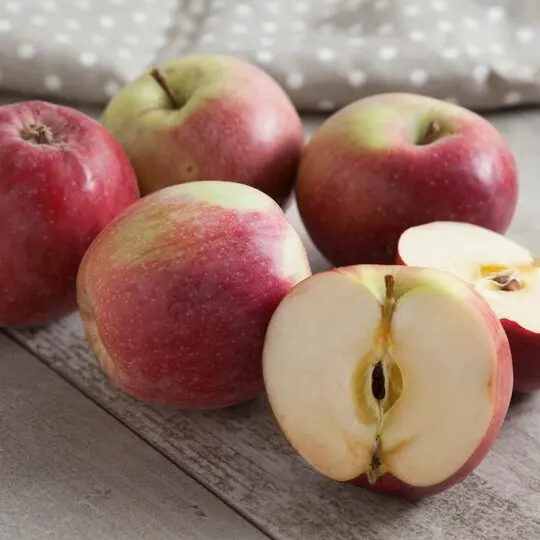 Яблоко Боровинка 25 г. | Plant Cages &amp Supports