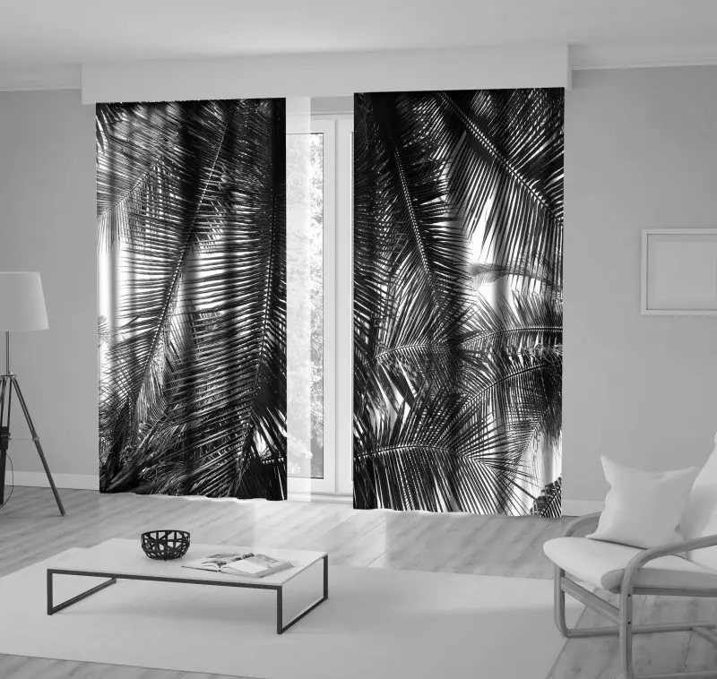 

Curtain Palm Tree Leaves Tropical Scenery Island Nature Romantic Beach Photo Black White