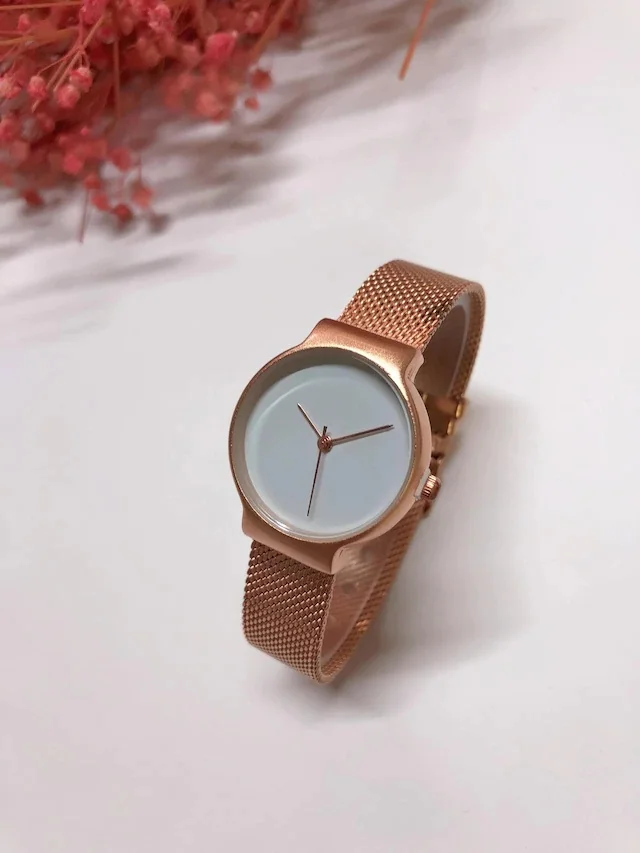 

Ricardo Women Mesh Metal Wrist watch RC136677RB 461911052