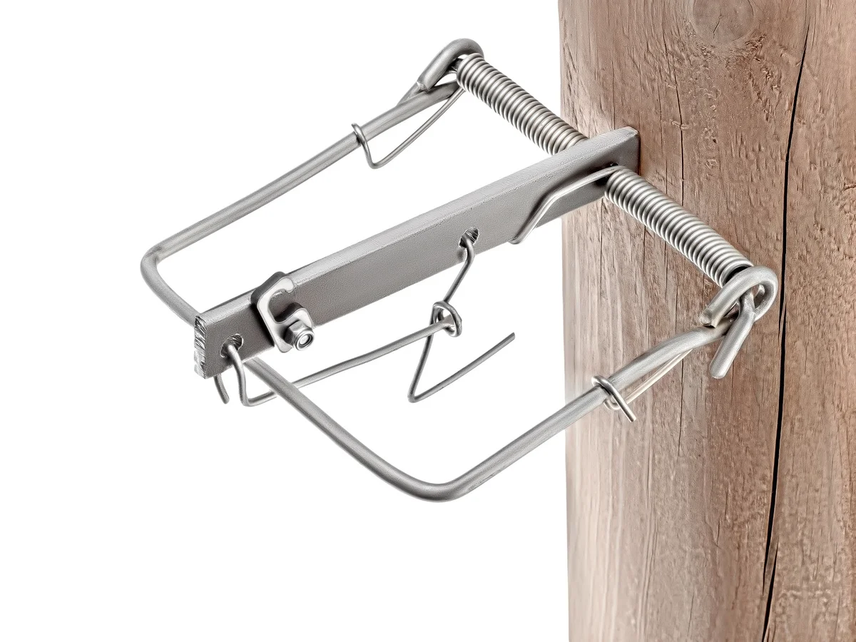 капкан на соболя сд 140. проходной капкан дка. гуманные капканы кд-140. капкан пружинный кд-140. капканы кд.