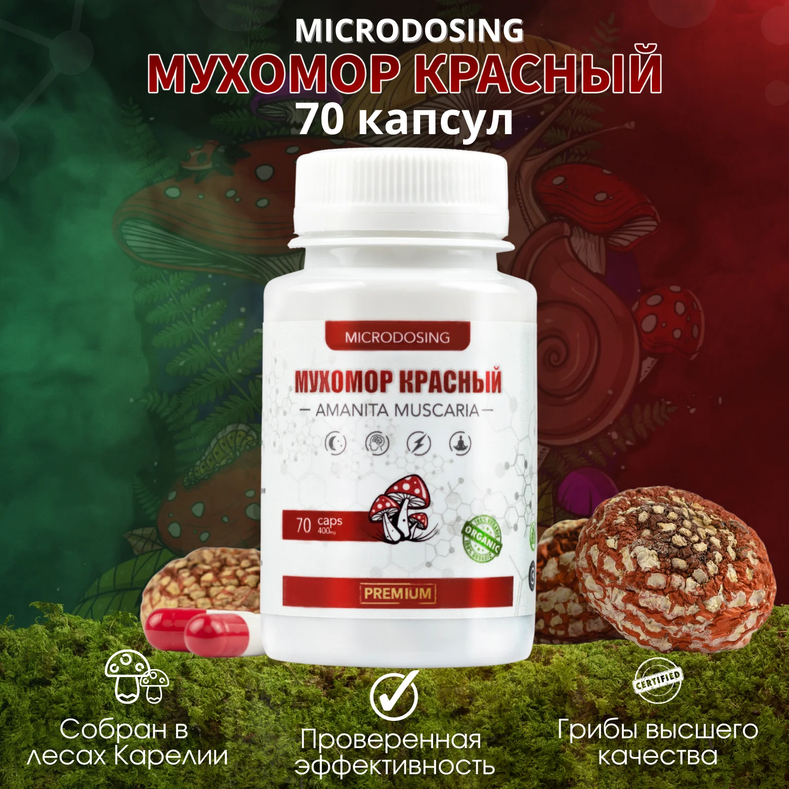 Мухомор Красный Купить