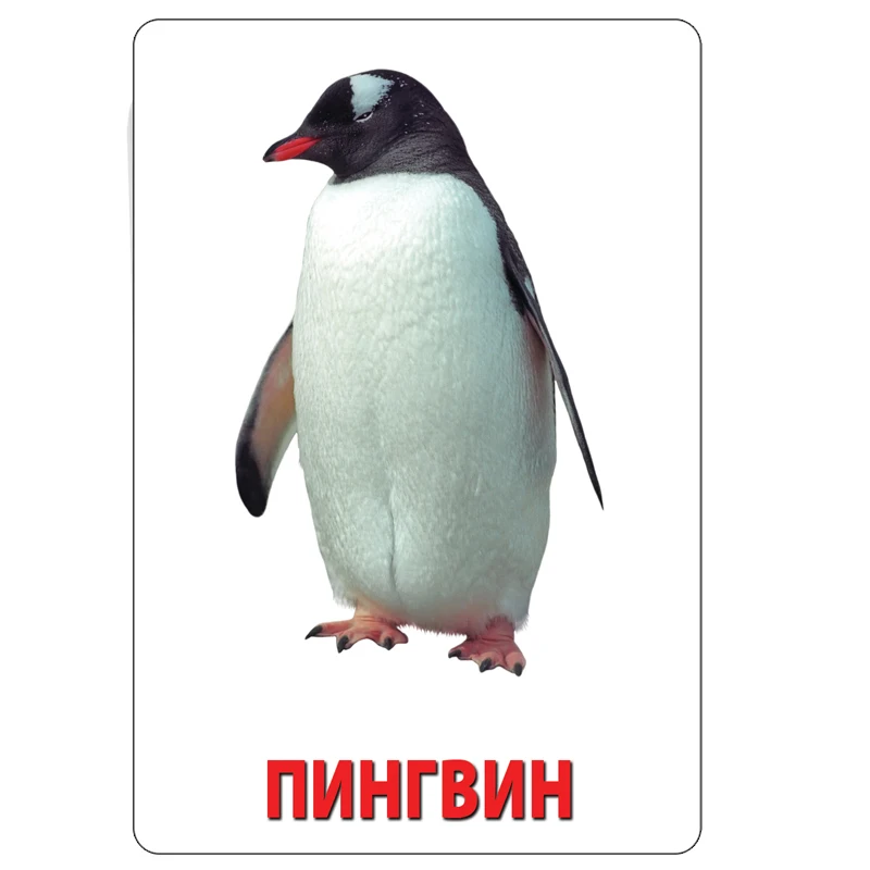 Развивающие карточки Шпаргалки для мамы &quotКарточки Домана&quot 3-5 лет развивающая