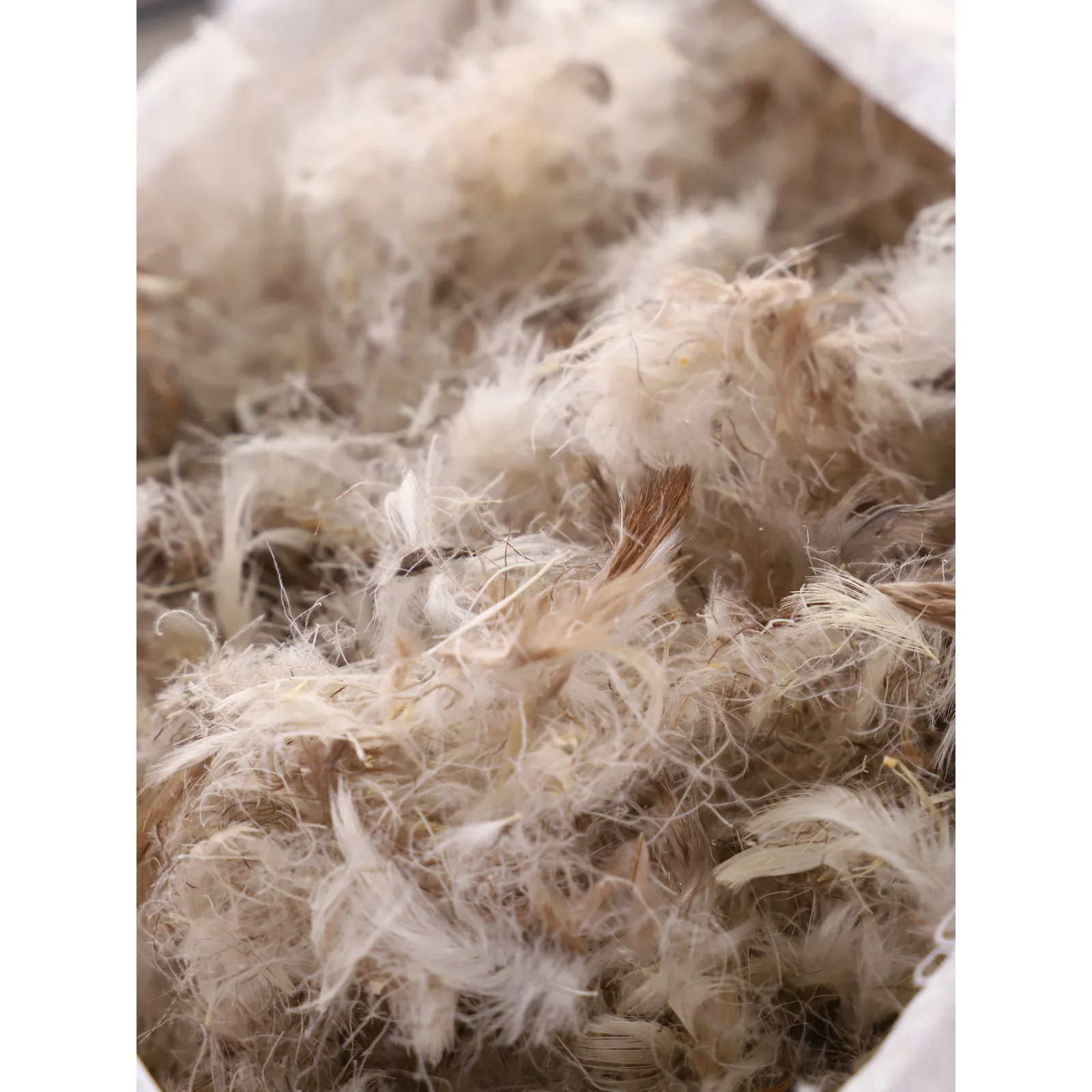 Подушка Перьевая (Пух / Перо) ТИК (100% Хлопок) 70 х см 50 Nature &amp Cotton Ивановский текстиль