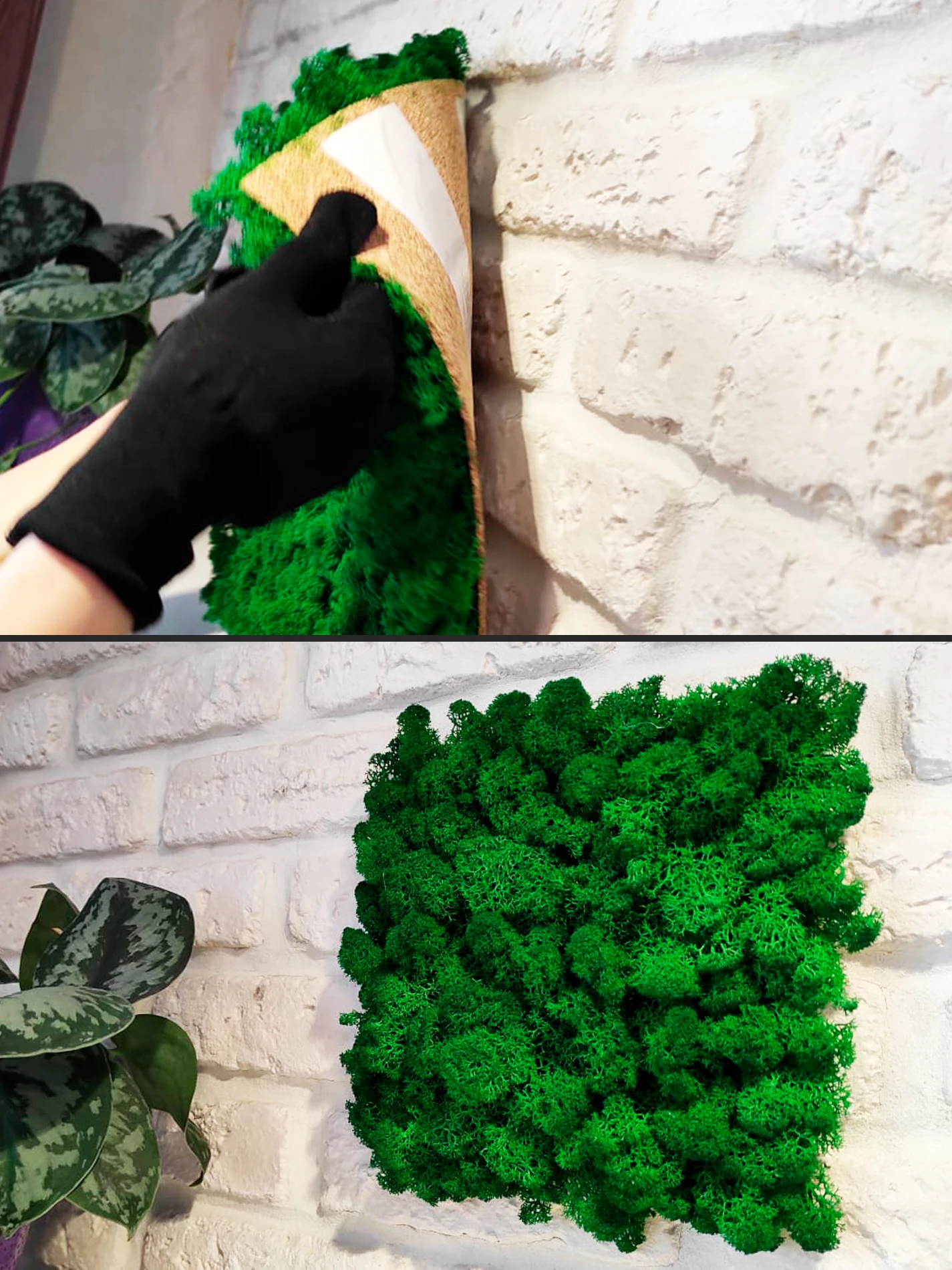 Панель из стабилизированного мха 30*30см декор интерьера настенное украшение -