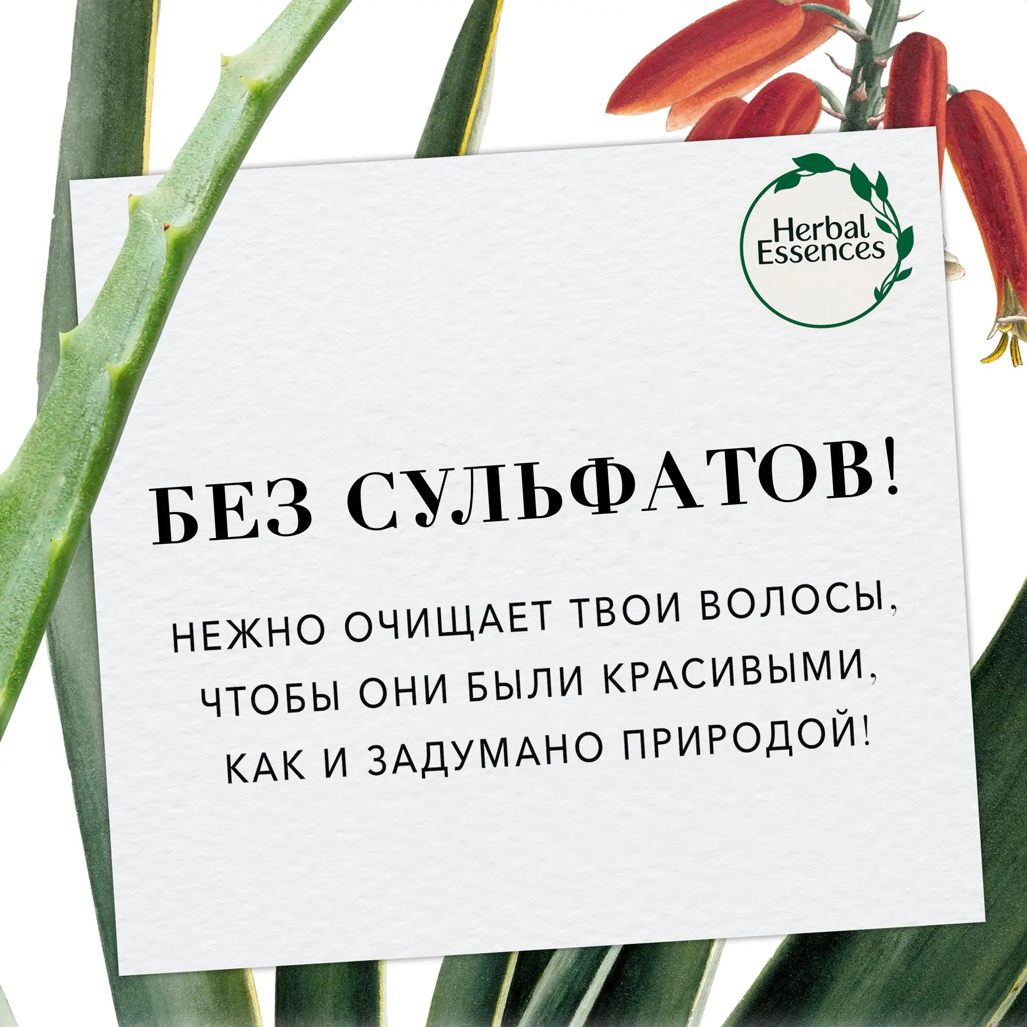 Масло для волос и кожи головы Herbal Essences с алоэ + масло авокадо 100 мл | Красота