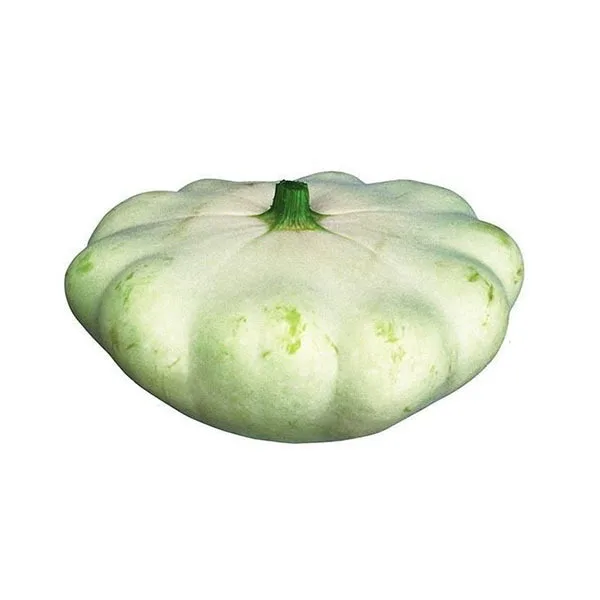 Патиссон горошек. Патиссон на прозрачном фоне. Патисон рврш. Патиссон гавриш семена. Полезные свойства патиссона.