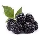 Raspberry Blackberry 20 шт. бесплатная доставка | Дом и сад