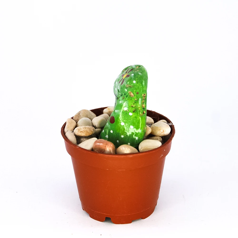 

New Cute Cactus Trinket Flower Pot Mini Pot For Home Office Decoration