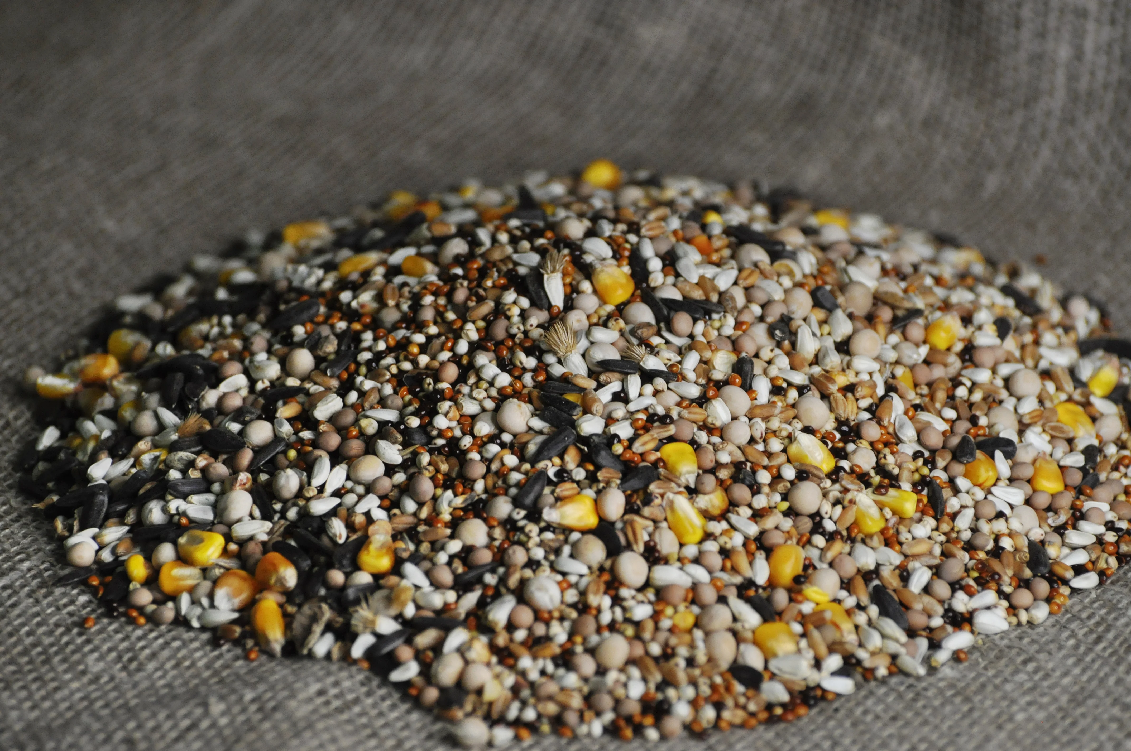 Корм Для Лесных Певчих Птиц Купить