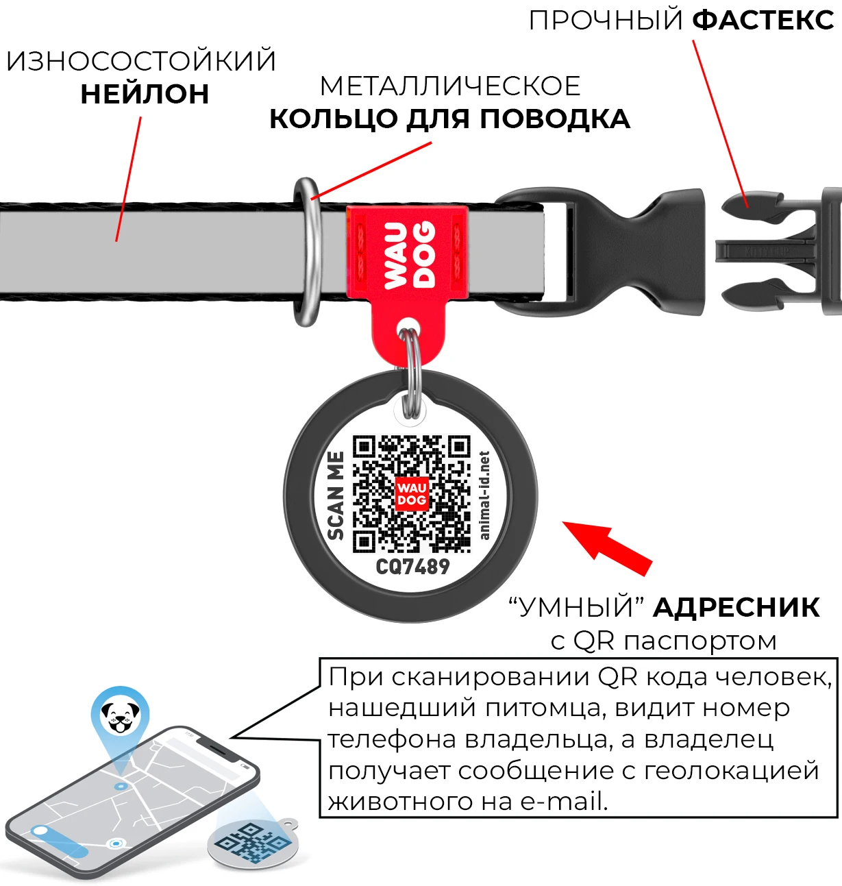 Нейлоновый ошейник WAUDOG Nylon c QR паспортом с рисунком &quotАрбуз&quot для мелких пород