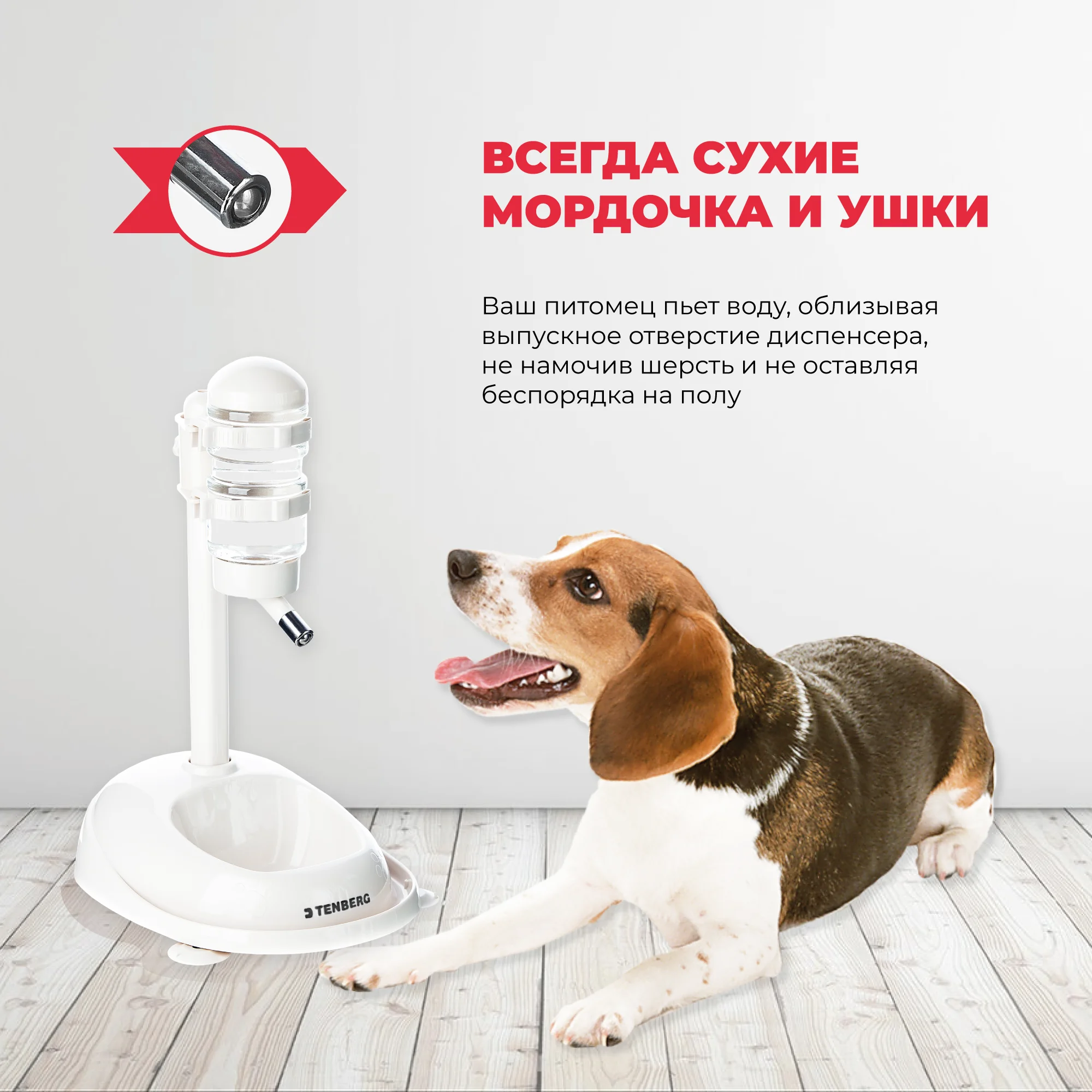 Автопоилка Для Собак Сухие Усы Купить