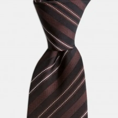 

Brown Black Stripe Silk Tie 67825155