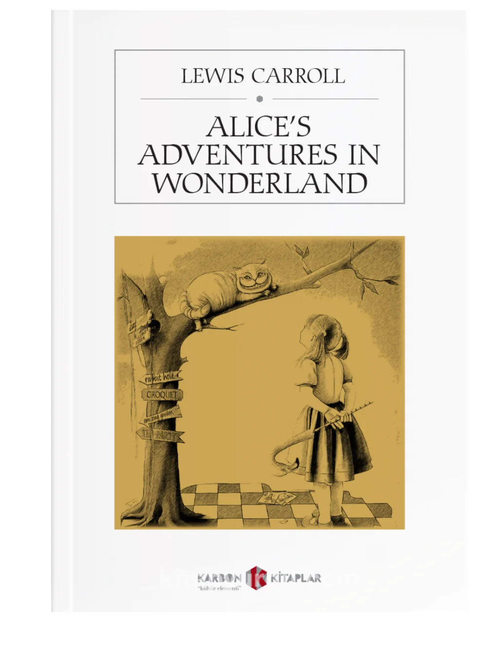 

Alice's Adventures in Wonderland Lewis Carroll world literature classics English book 112 pages nice gift for English learners