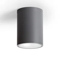 IP65 LED Cylinder Up and Down Outdoor Wall Lights Dusk to Dawn,Body Aluminum Waterproof Wall Lamps,8/12W 1 PACK Hallway