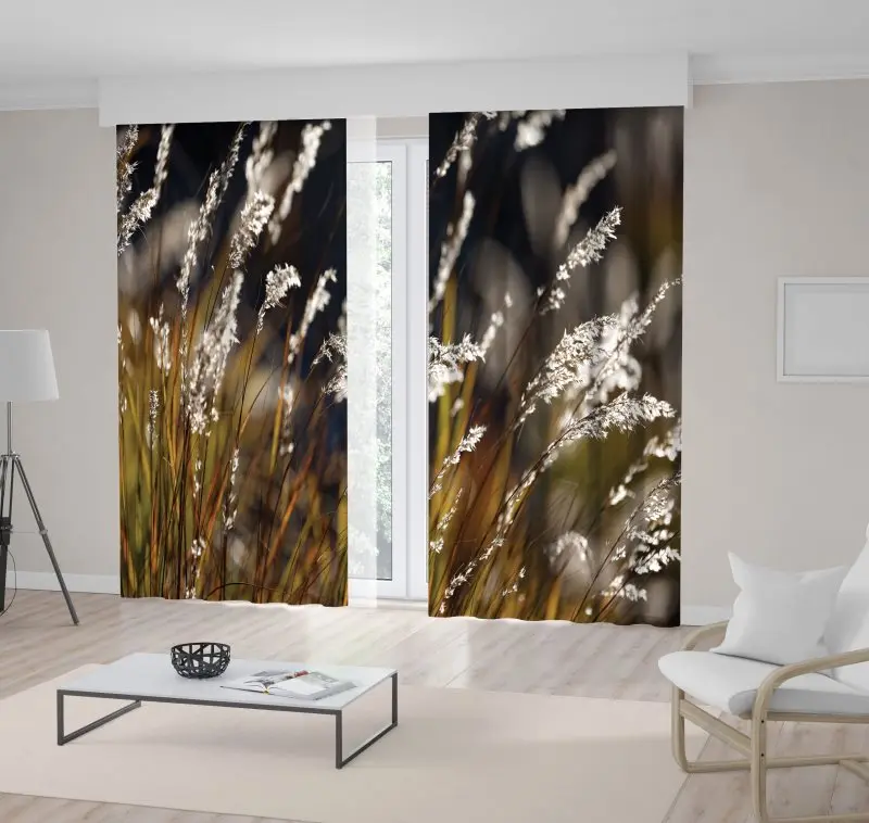 

Curtain Grass Flower Wilderness Mountain Plants Nature Environment Green Gray White Photo Print